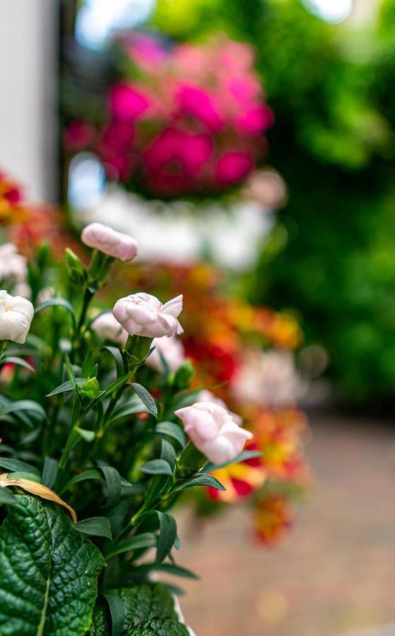 Pension Borna Dış mekan fotoğraf