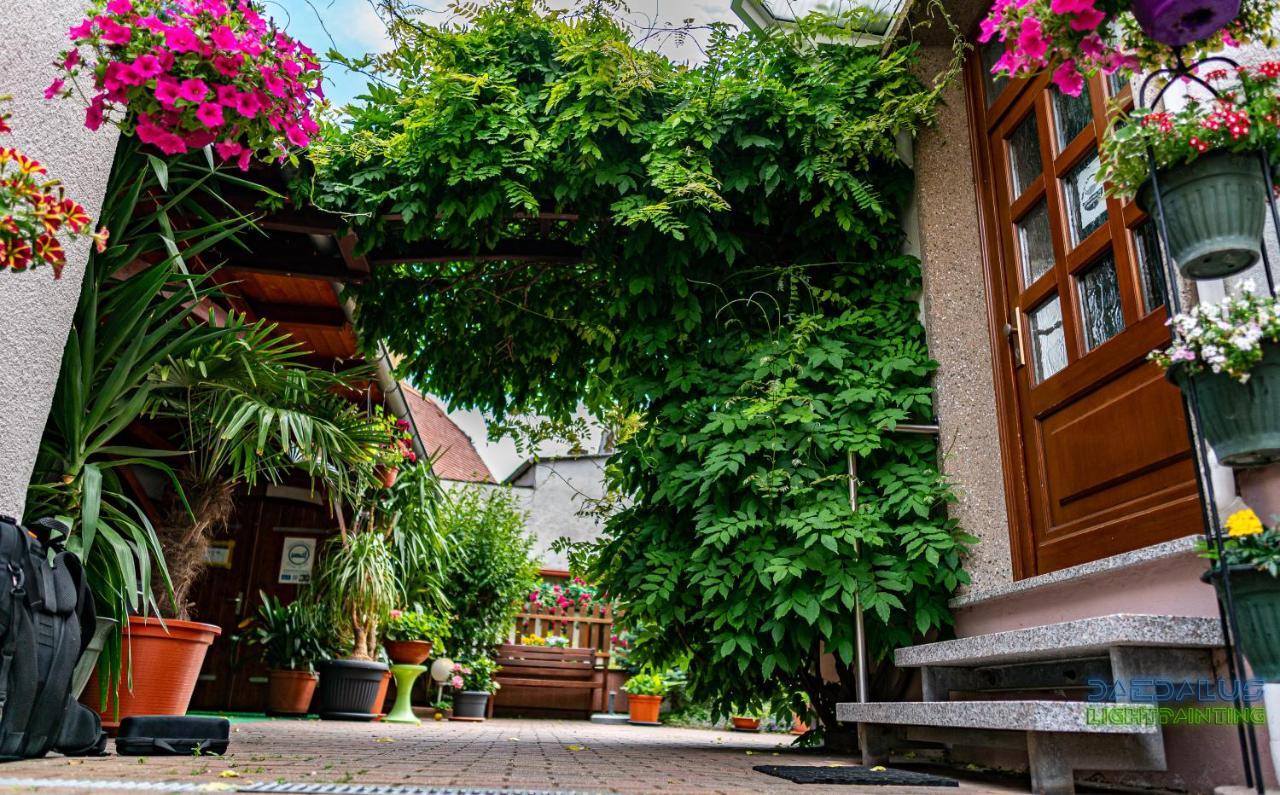 Pension Borna Dış mekan fotoğraf