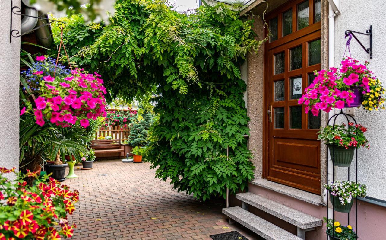 Pension Borna Dış mekan fotoğraf